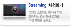 Streaming체험하기